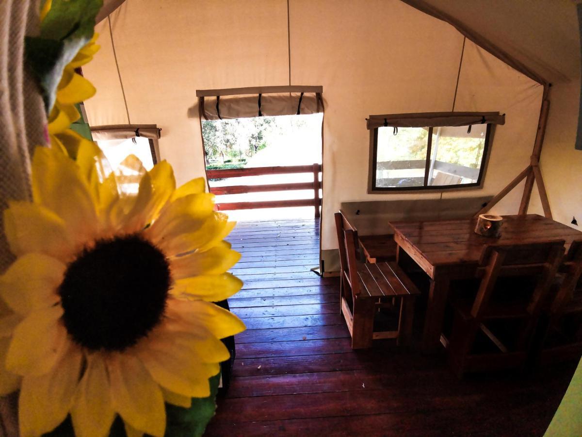 Sunflower Camping Mareda Exterior photo