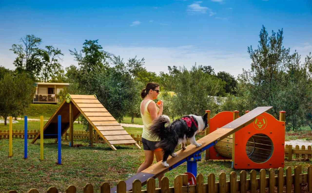 Sunflower Camping Mareda Exterior photo